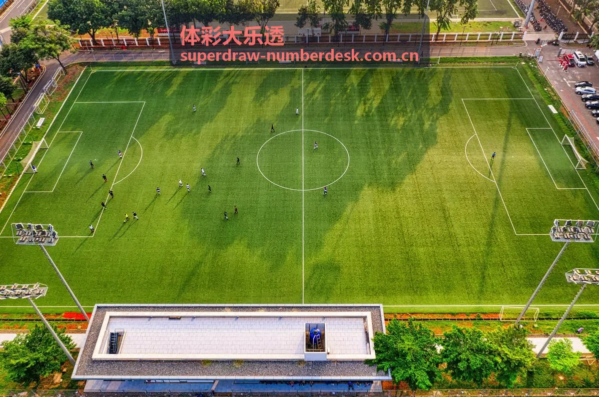 体彩大乐透走势图分析
